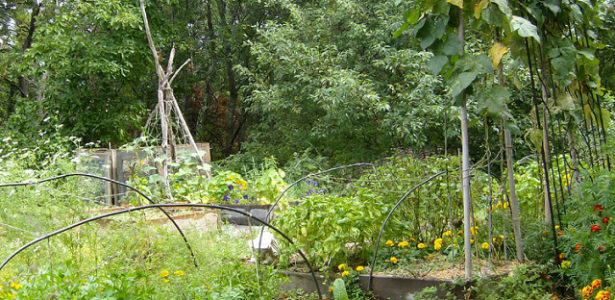 La permaculture