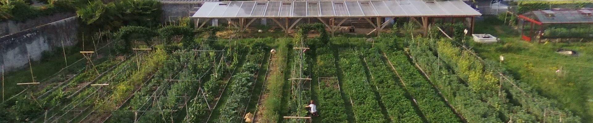 Formation à la permaculture