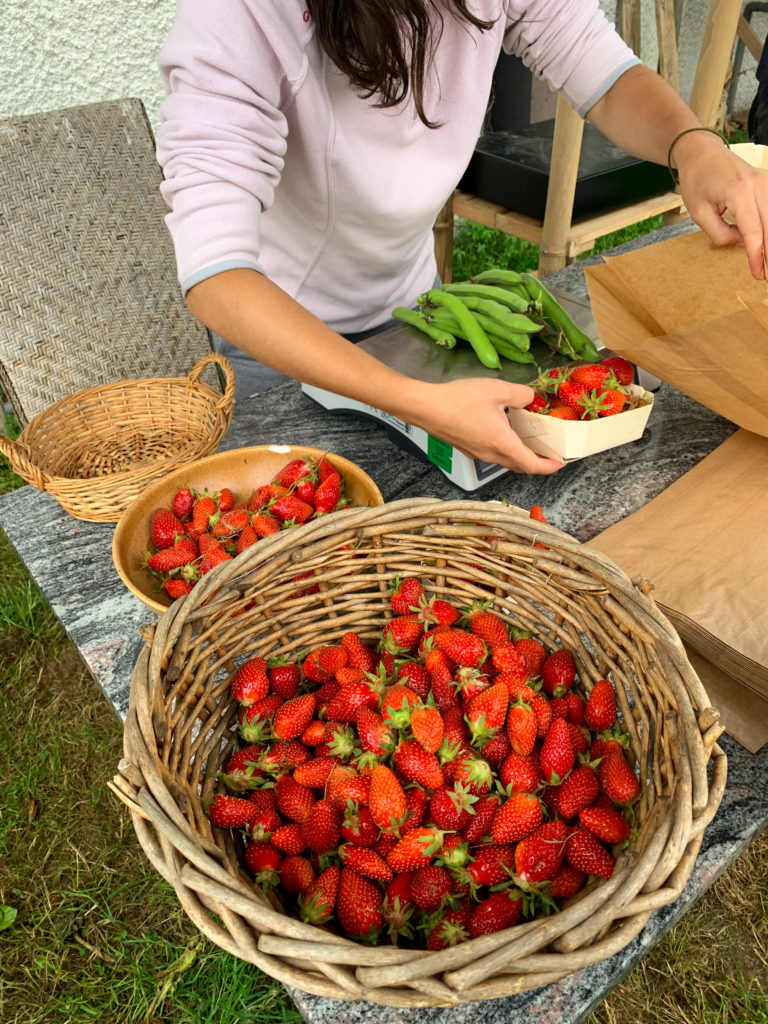 De nombreuses fraises sont mises en vente en barquettes