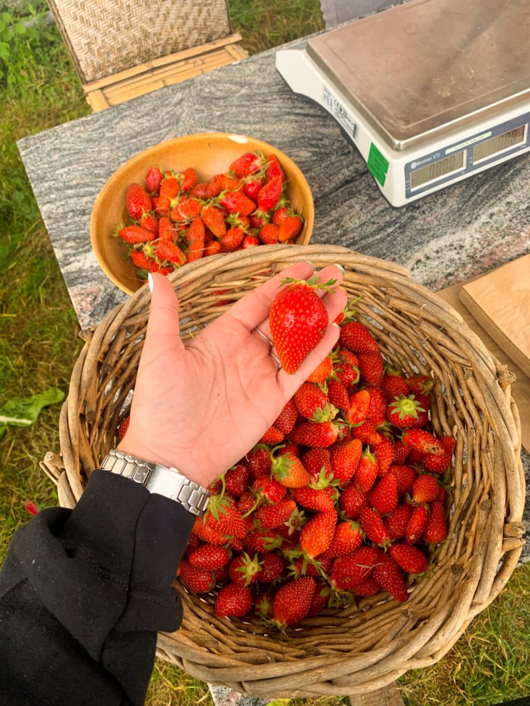 Les fraises sont grandes et rouges