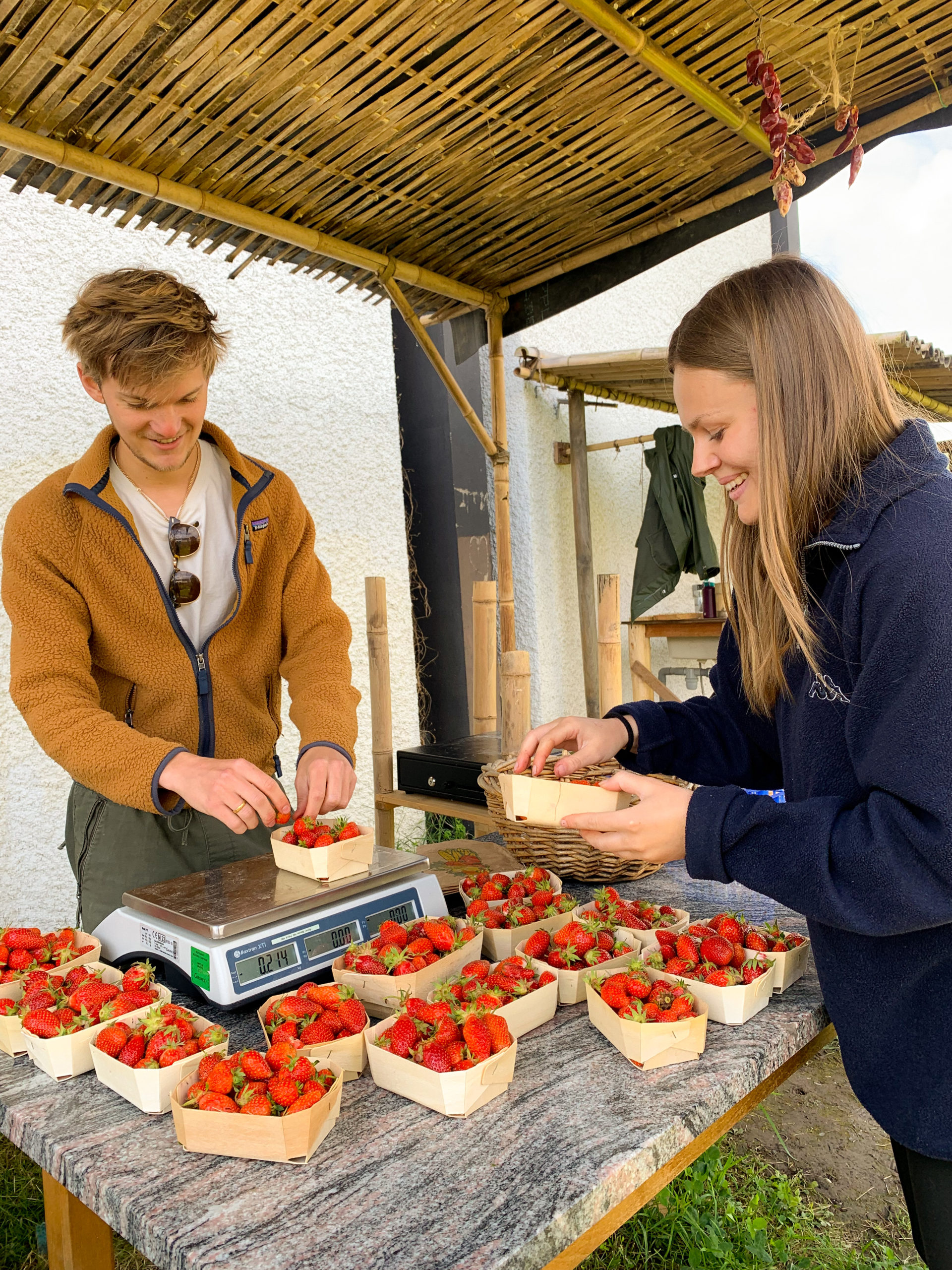 Retour des fraises