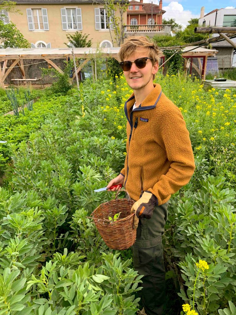 Jack, un Anglais, s'occupant des fèves