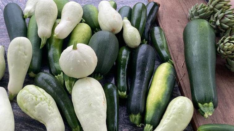 Premiers légumes d’été