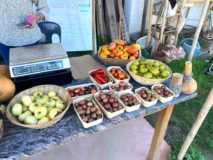 Tomates Cerises