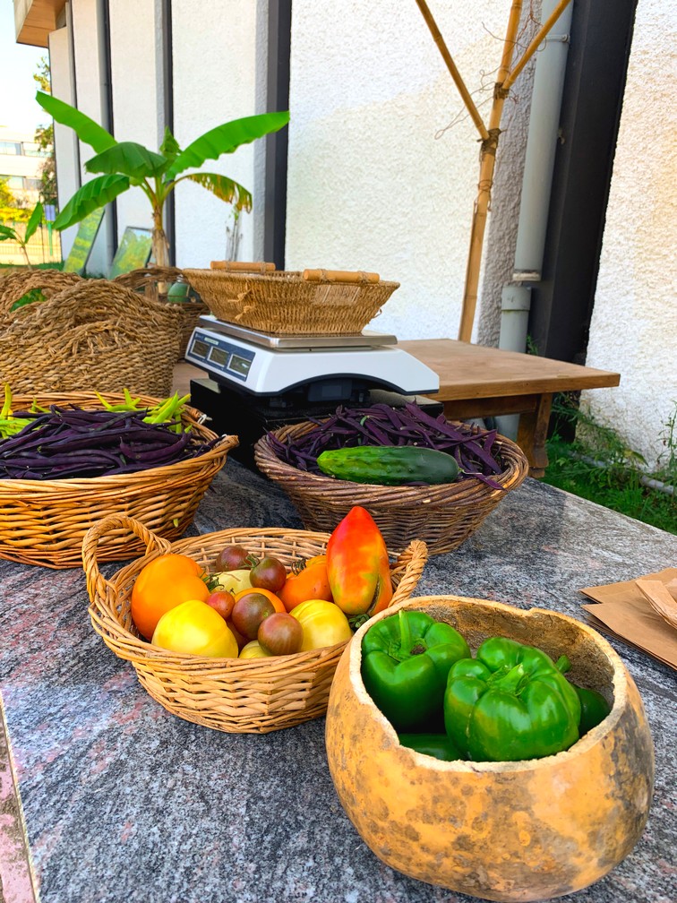 Les poivrons, les tomates, les haricots et les concombres sont disponibles à la vente !