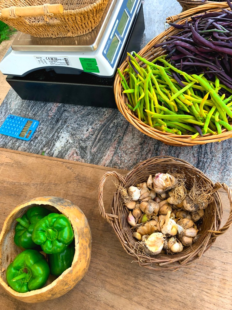 L'ail, les poivrons et les haricots sont en nombre cette année