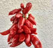 Piment type Espelette