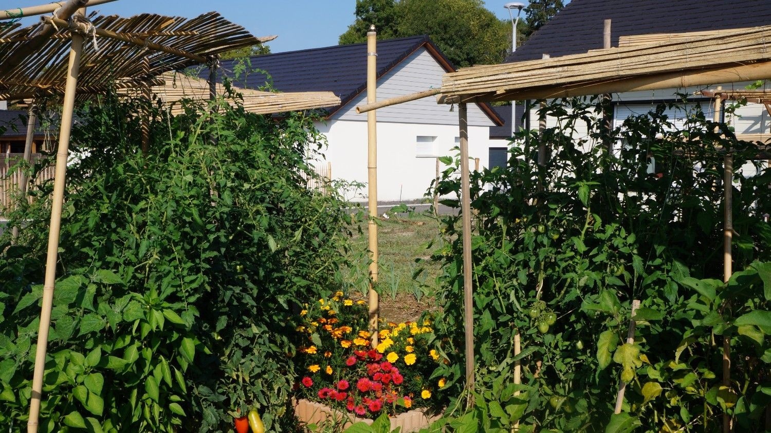 Système d’arrosage sur mesure.