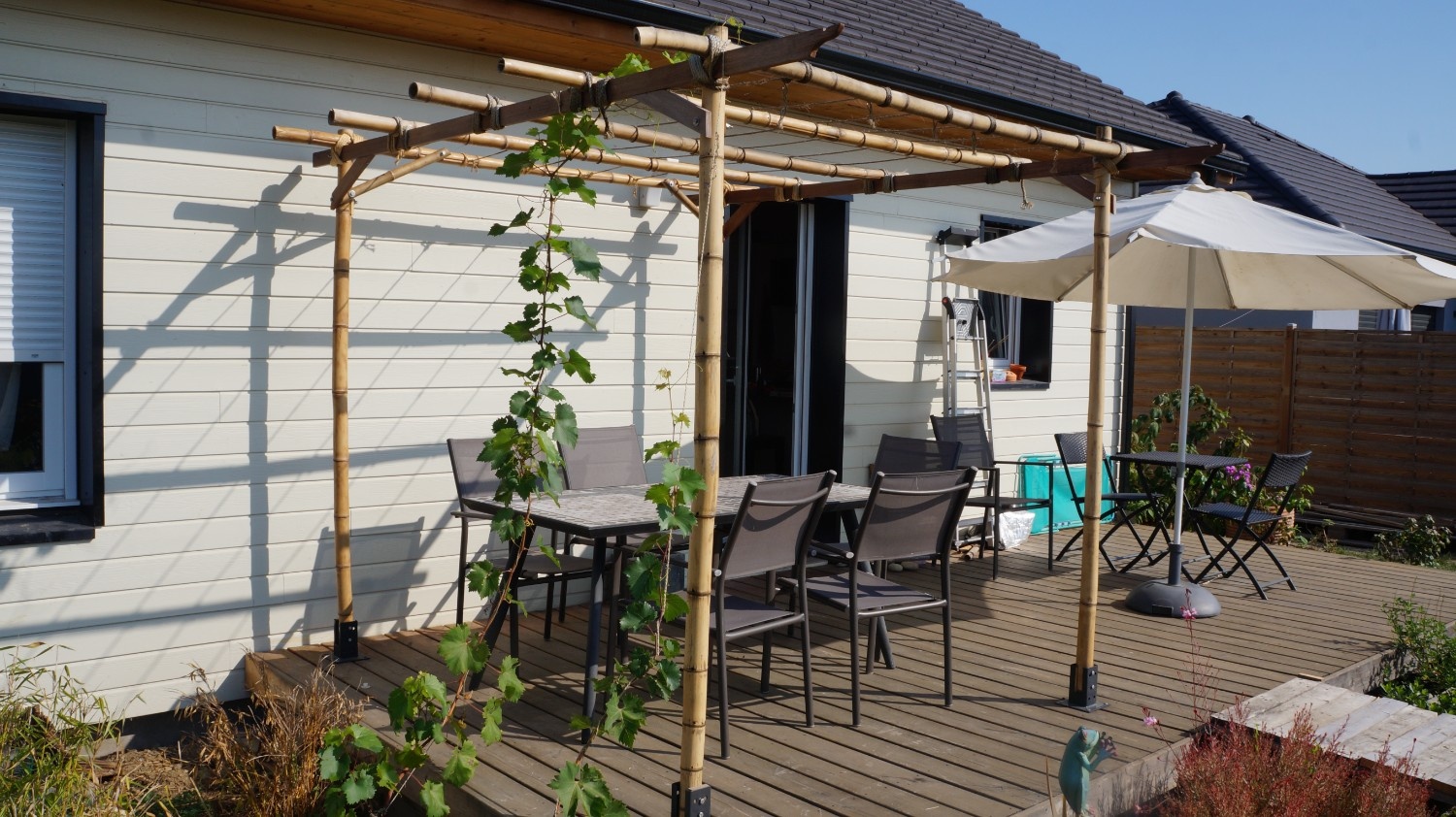 Pergola vignes.